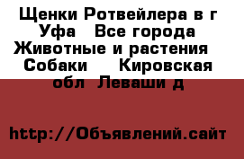 Щенки Ротвейлера в г.Уфа - Все города Животные и растения » Собаки   . Кировская обл.,Леваши д.